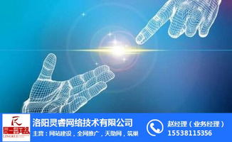 洛陽網站開發與裝修網站開發互聯網銷售費用解析