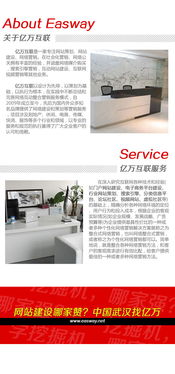 武漢網(wǎng)站建設(shè)與網(wǎng)絡(luò)營(yíng)銷知識(shí) 全方位服務(wù)助力企業(yè)數(shù)字化轉(zhuǎn)型